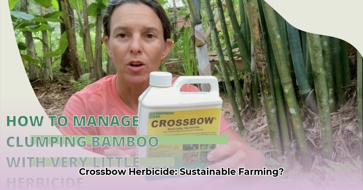 crossbow-herbicide-tractor-supply